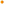         Amaretto Allure