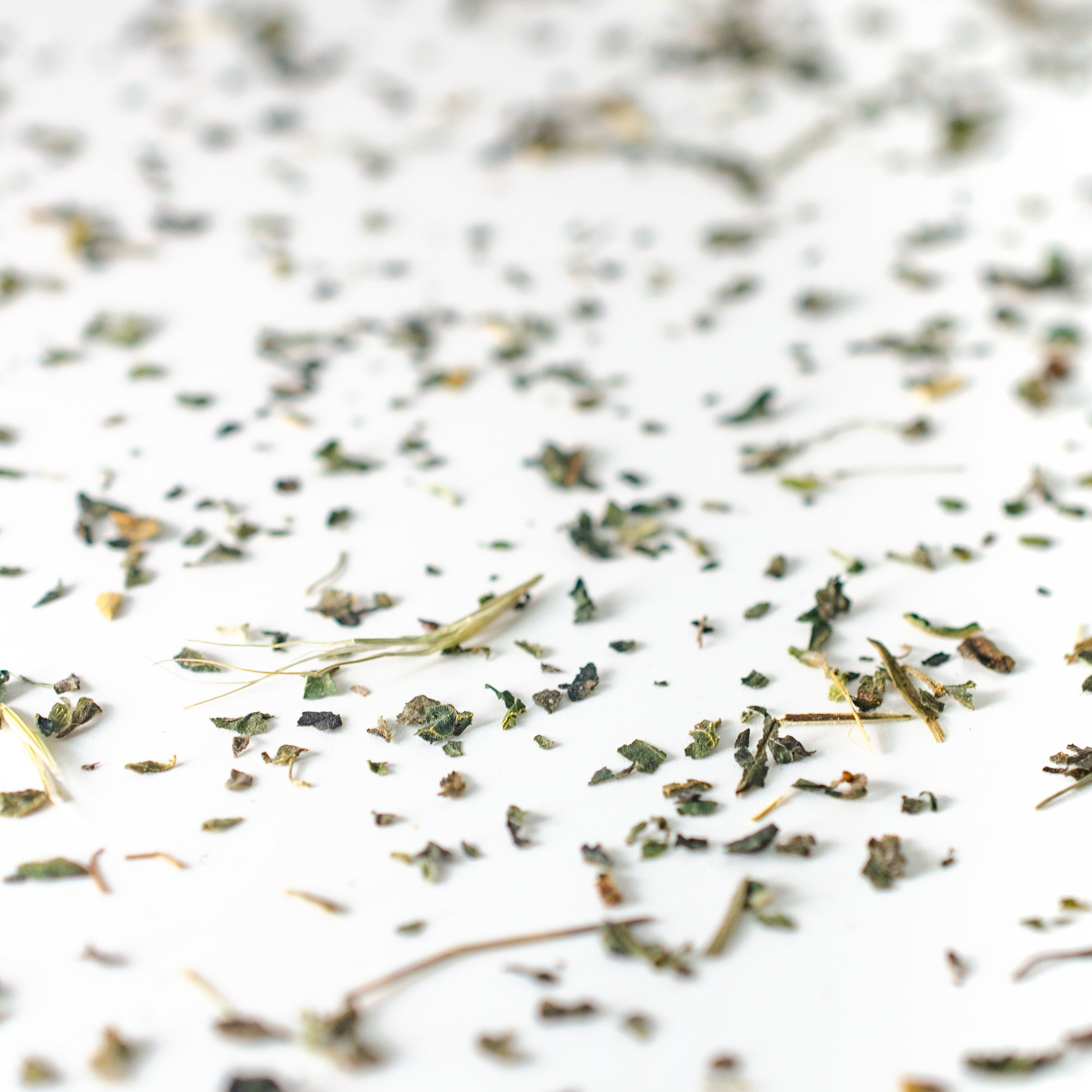 Nettle (Organic)