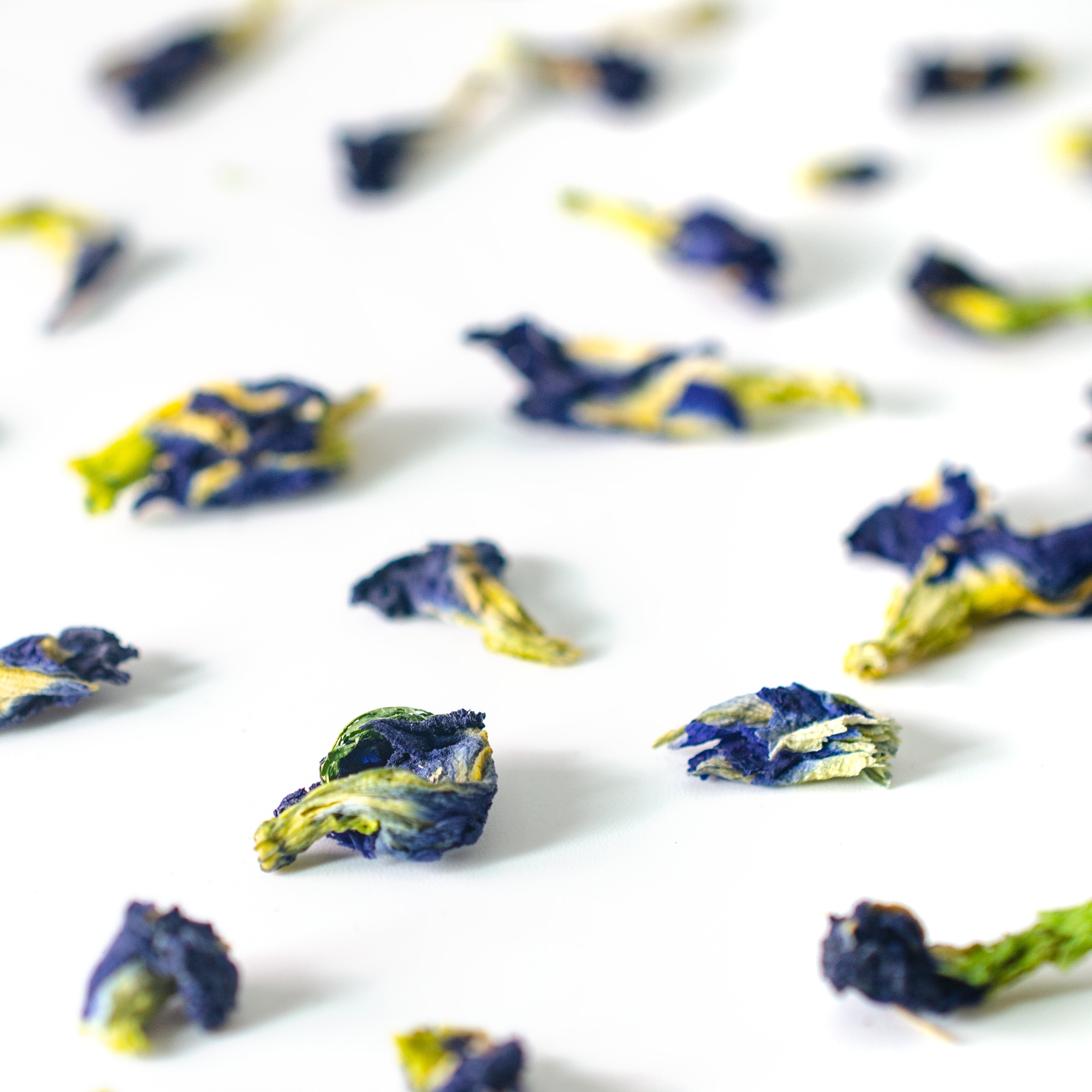 Butterfly Pea Flower