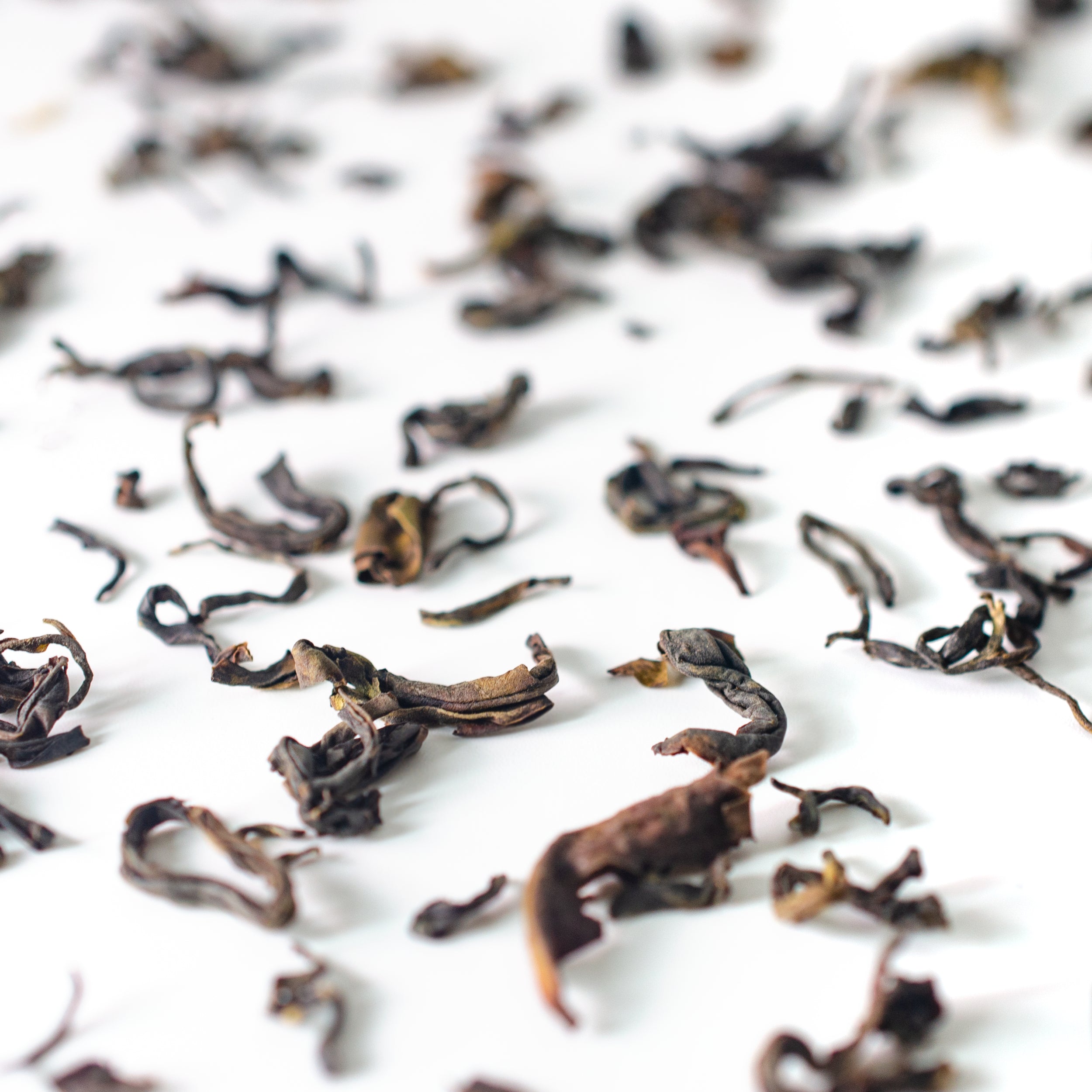 Kenya Oolong
