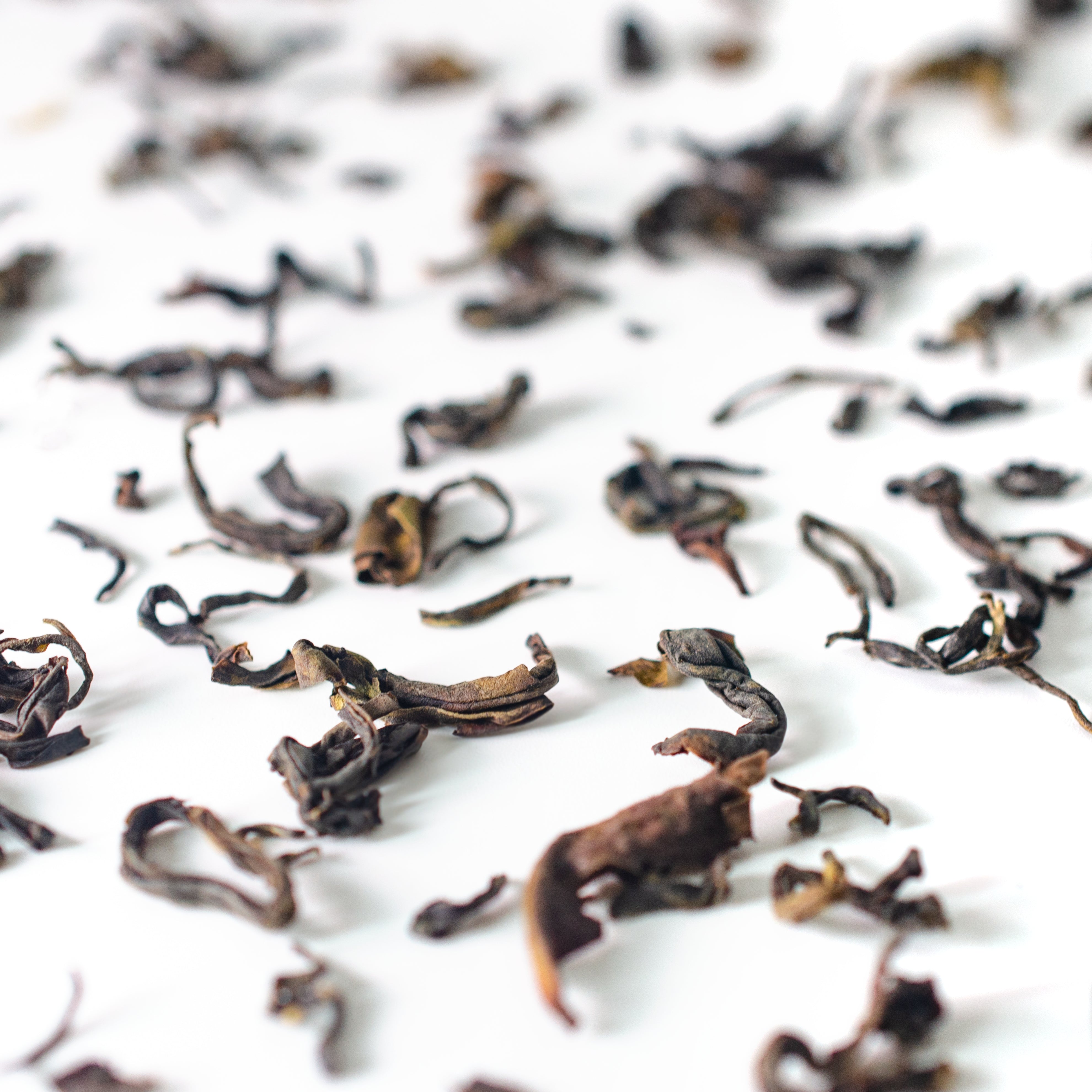 Kenya Oolong